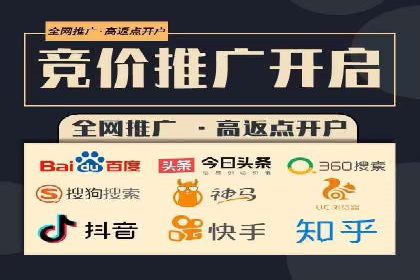 百度推广在电商行业的成功案例