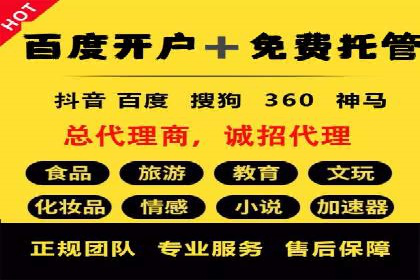 某某SEM服务公司：一例广告投放的优化与成果